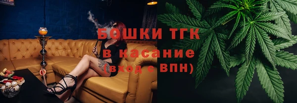 мяу мяу мука Иннополис