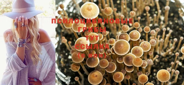 скорость Инсар
