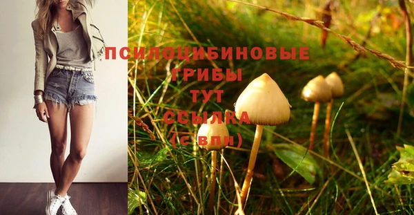 скорость Инсар