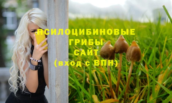 скорость Инсар