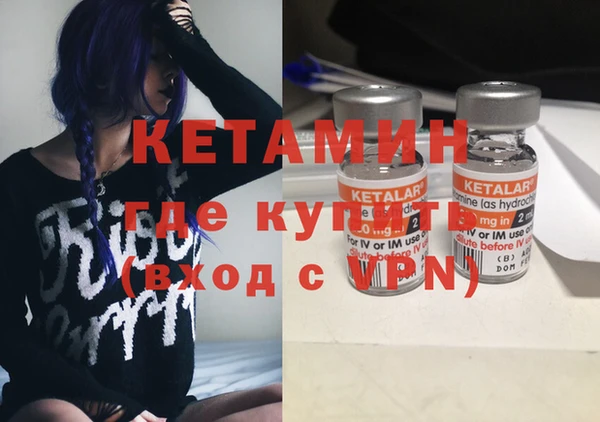 мяу мяу мука Иннополис