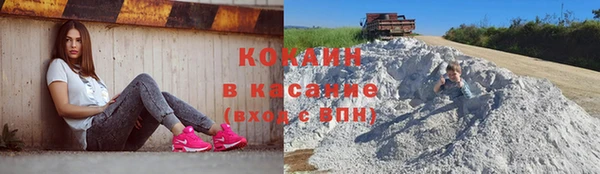 мяу мяу мука Иннополис